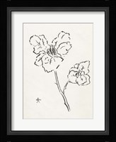 Floral Ink Study III Framed Print