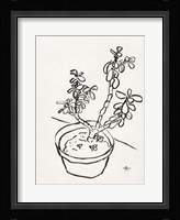 Floral Ink Study IV Framed Print