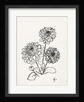 Floral Ink Study V Framed Print