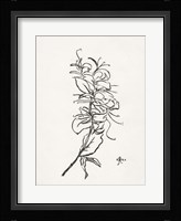 Floral Ink Study VI Framed Print