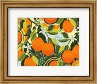 Sweet Clementine I Fine Art Print