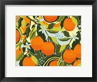 Sweet Clementine I Fine Art Print