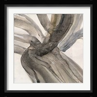 Driftwood II Framed Print