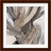 Driftwood I Fine Art Print