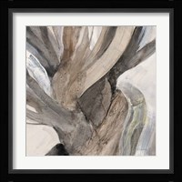 Driftwood I Framed Print
