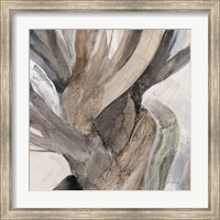 Driftwood I Fine Art Print