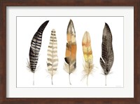 Natural Feathers Fine Art Print
