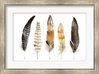 Natural Feathers Fine Art Print