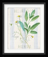 Floursack Herbs III Framed Print