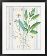 Floursack Herbs III Framed Print