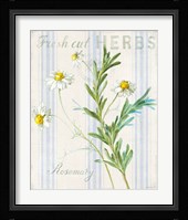 Floursack Herbs I Framed Print
