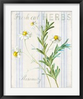 Floursack Herbs I Framed Print
