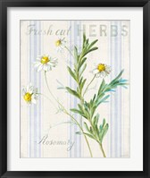 Floursack Herbs I Framed Print