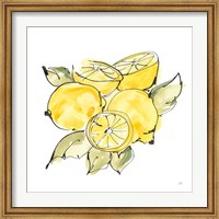 Lemon Still Life IV Fine Art Print