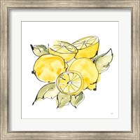 Lemon Still Life IV Fine Art Print