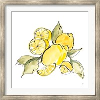 Lemon Still Life III Fine Art Print