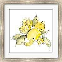 Lemon Still Life III Fine Art Print