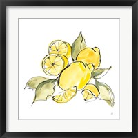 Lemon Still Life III Framed Print