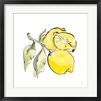 Lemon Still Life II Framed Print