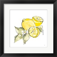Lemon Still Life I Fine Art Print
