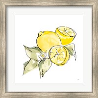 Lemon Still Life I Fine Art Print