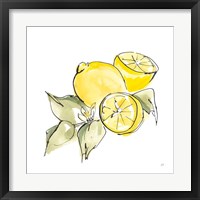 Lemon Still Life I Framed Print