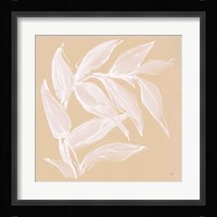 Leaf Study VI Framed Print