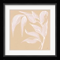 Leaf Study V Framed Print