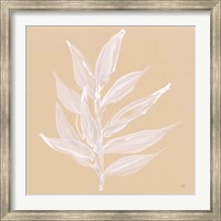 Leaf Study IV Fine Art Print