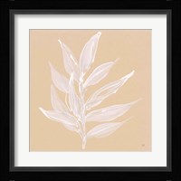 Leaf Study IV Framed Print