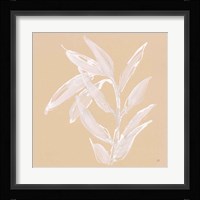 Leaf Study III Framed Print