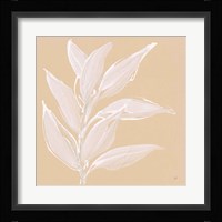 Leaf Study II Framed Print