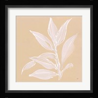 Leaf Study I Framed Print