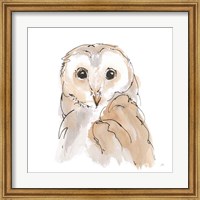 Barn Owl II Fine Art Print