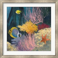 Coastal Reef II Fine Art Print