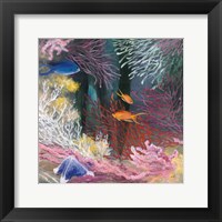 Coastal Reef I Fine Art Print