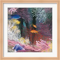 Coastal Reef I Fine Art Print
