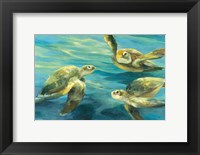 Sea Turtles Fine Art Print