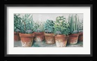 Pots of Herbs II Cottage Fine Art Print