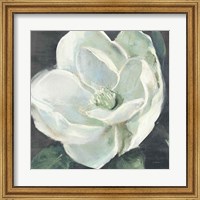 Magnolia III Sage Fine Art Print