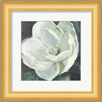 Magnolia III Sage Fine Art Print