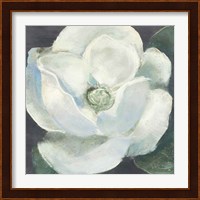 Magnolia II Sage Fine Art Print