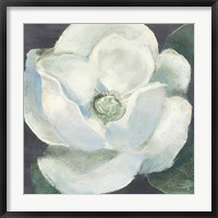 Magnolia II Sage Fine Art Print