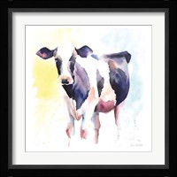 Holstein IV Framed Print