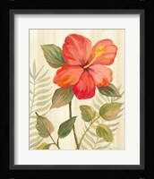 Tropical Garden XI Framed Print