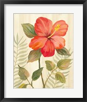 Tropical Garden XI Framed Print