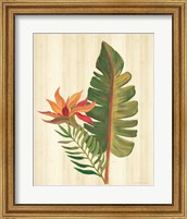 Tropical Garden VI Fine Art Print