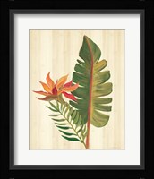 Tropical Garden VI Framed Print