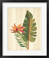 Tropical Garden VI Framed Print