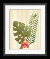 Tropical Garden V Framed Print
